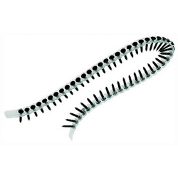 Ristra 1.000 Tornillos Pladur MAKITA Autoalimentado DFR550 FS4200 DFS452 DFS451 Atornillado